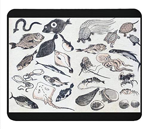 ハンドメイド 魚の絵画北斎タナゴ ハンドメイド 魚の絵画北斎タナゴ Amazon.co.jp: 葛飾北斎 魚濫